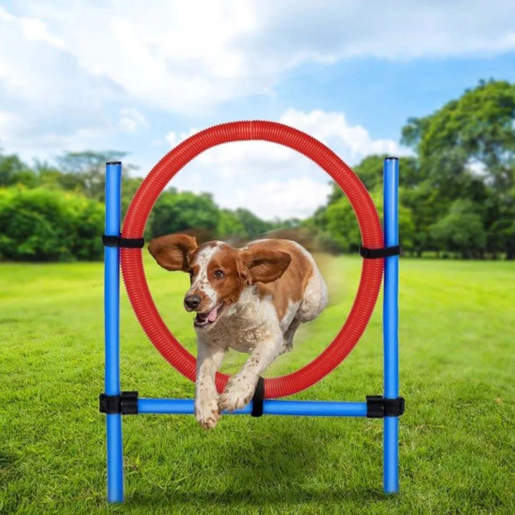 maxxpro Agility Spring Ring - Set Agility für Hunde 47433