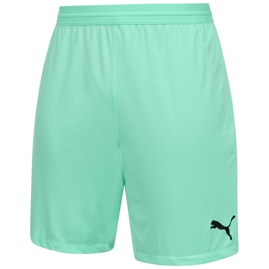 PUMA teamFINAL Herren Training Shorts 704257-21