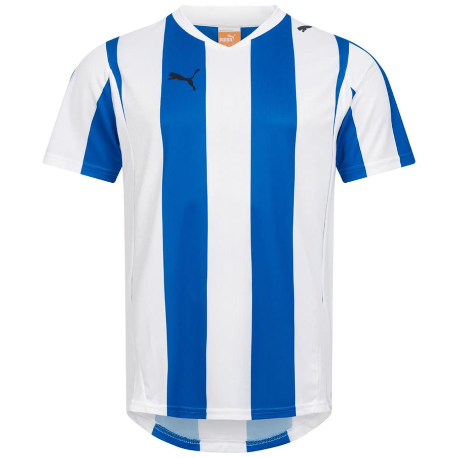PUMA PowerCat 5.10 Striped Kinder Trikot 741322-01J